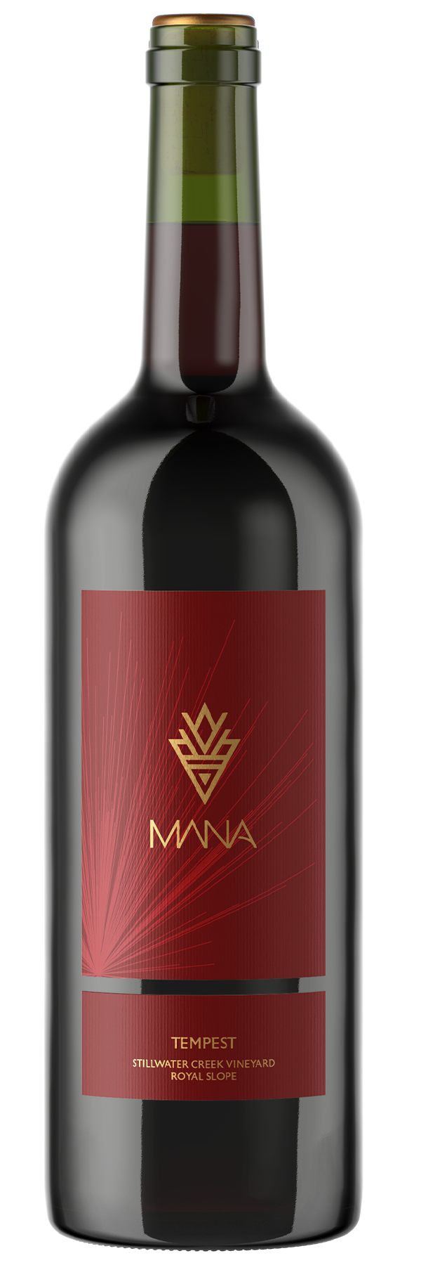 2023 Tempest Red Blend